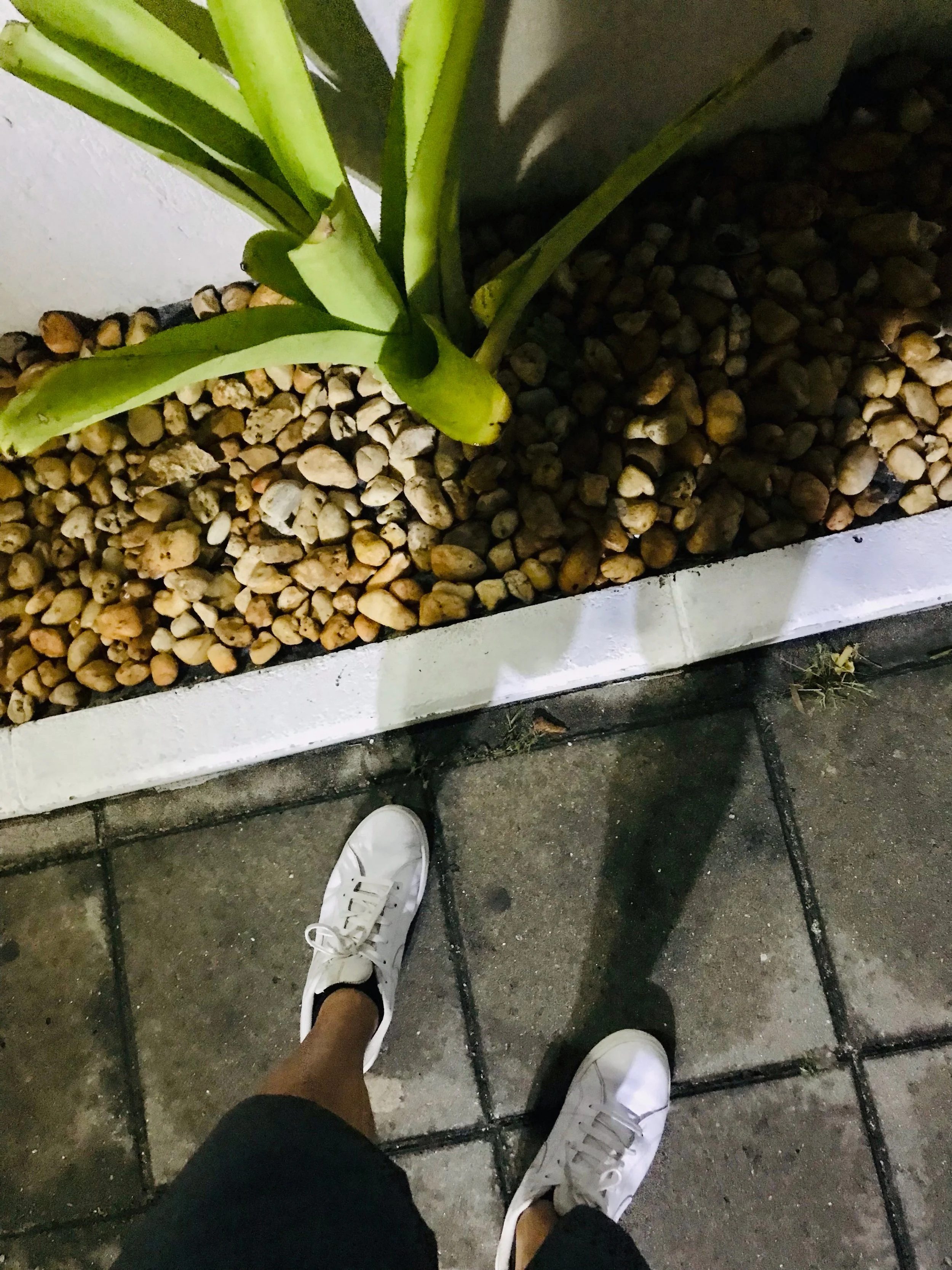 Happy New Year 2022!