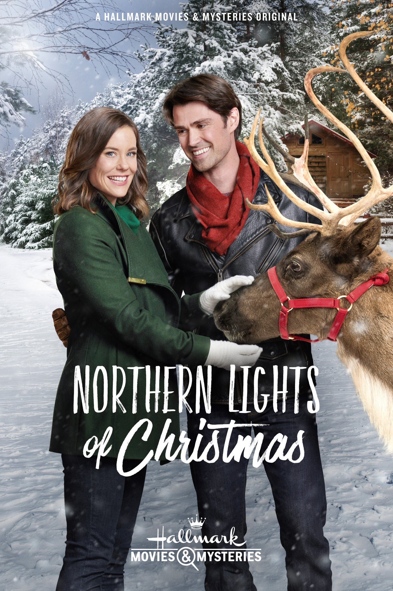 Northern Lights of Christmas.jpg