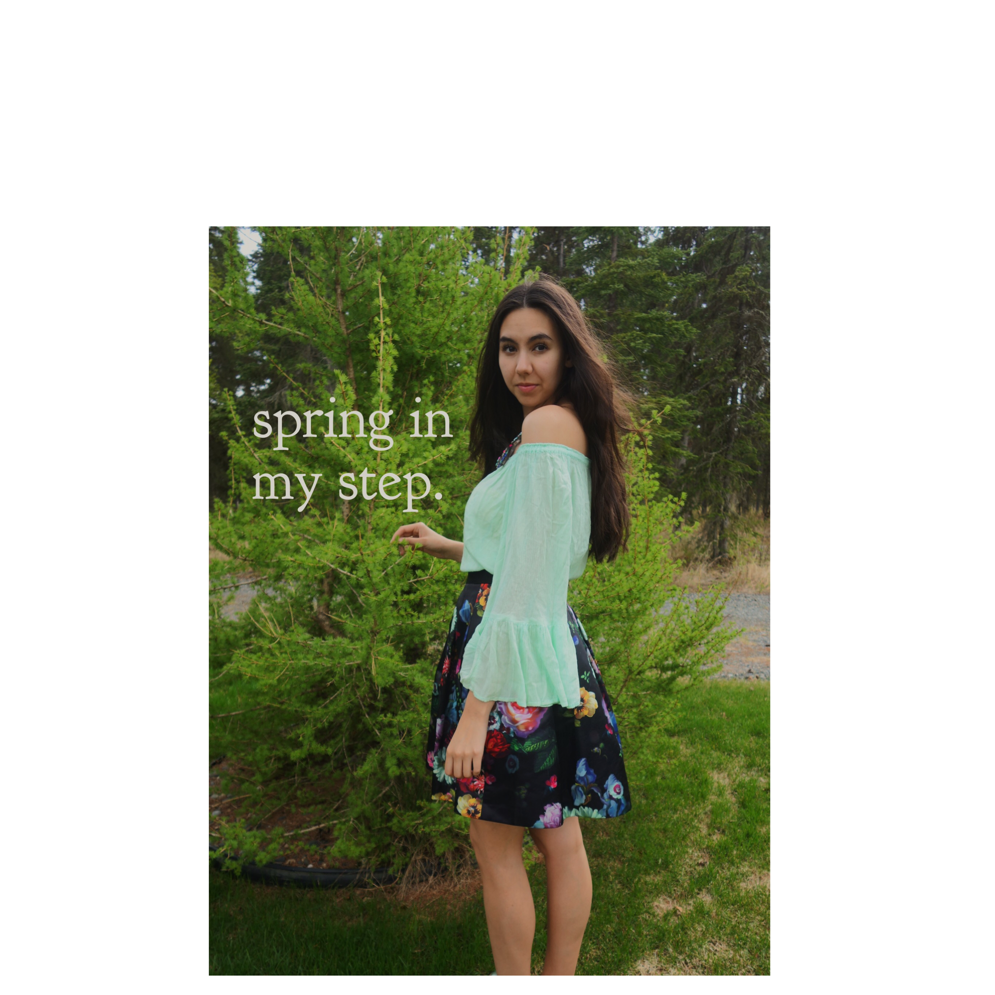      

 
   Spring In My Step.  The first signs of spring first slipped through the house when my cat began her incessant meowing at the window. Looking longingly at the green grass, she began to make it known that she had a strong desire to venture 
