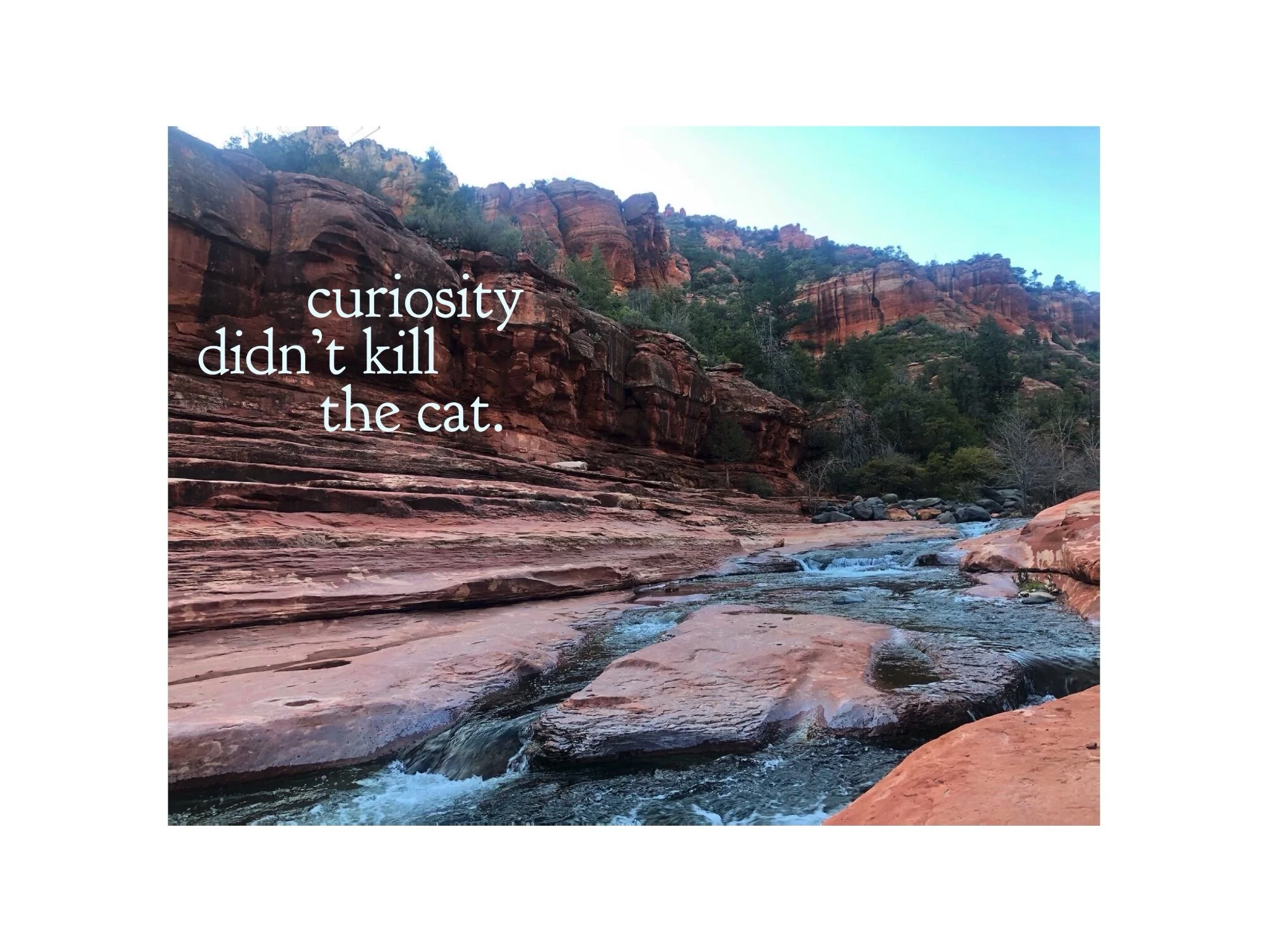 Curiosity Didn’t Kill the Cat. I knew the park was closed. Secretly, I had checked the hours of operation when we drove by the day before. I mean, how could I not? The views from the road were spectacular. But the friends I was with