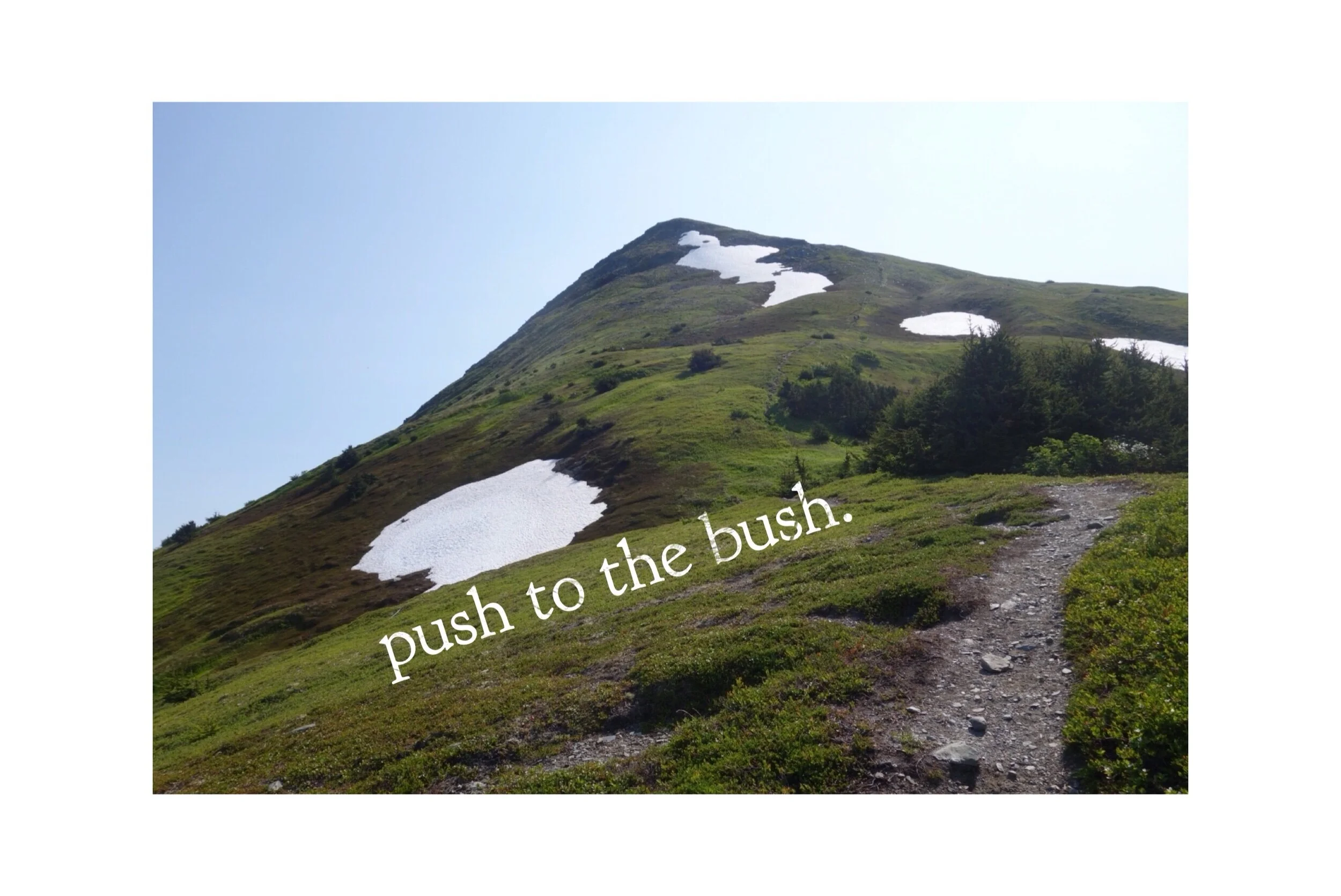 Push to the Bush. One step, two step, three step, four. Five step, six step, seven steps more. Eight step, nine step, ten to the bush. Have to keep moving, push push push. It was the song that kept me going that day, the dit