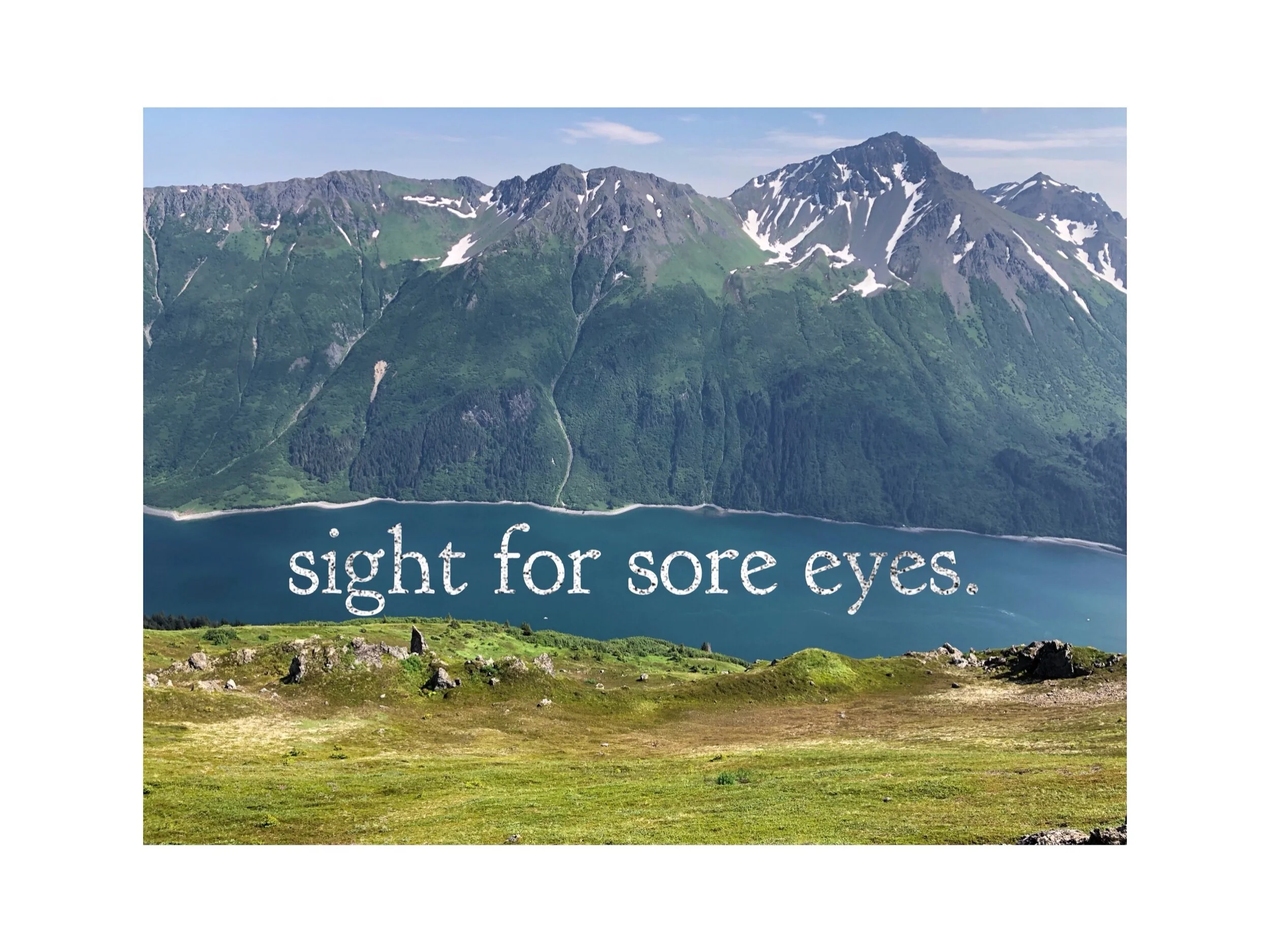      

 
   Sight for Sore Eyes.  An endless stream of traffic crowds my small town of Soldonta.   Restaurants, left and right, close due to lack of staff, shortage of shipments, and just plain exhaustion from scrambling to accommodate the thousands 