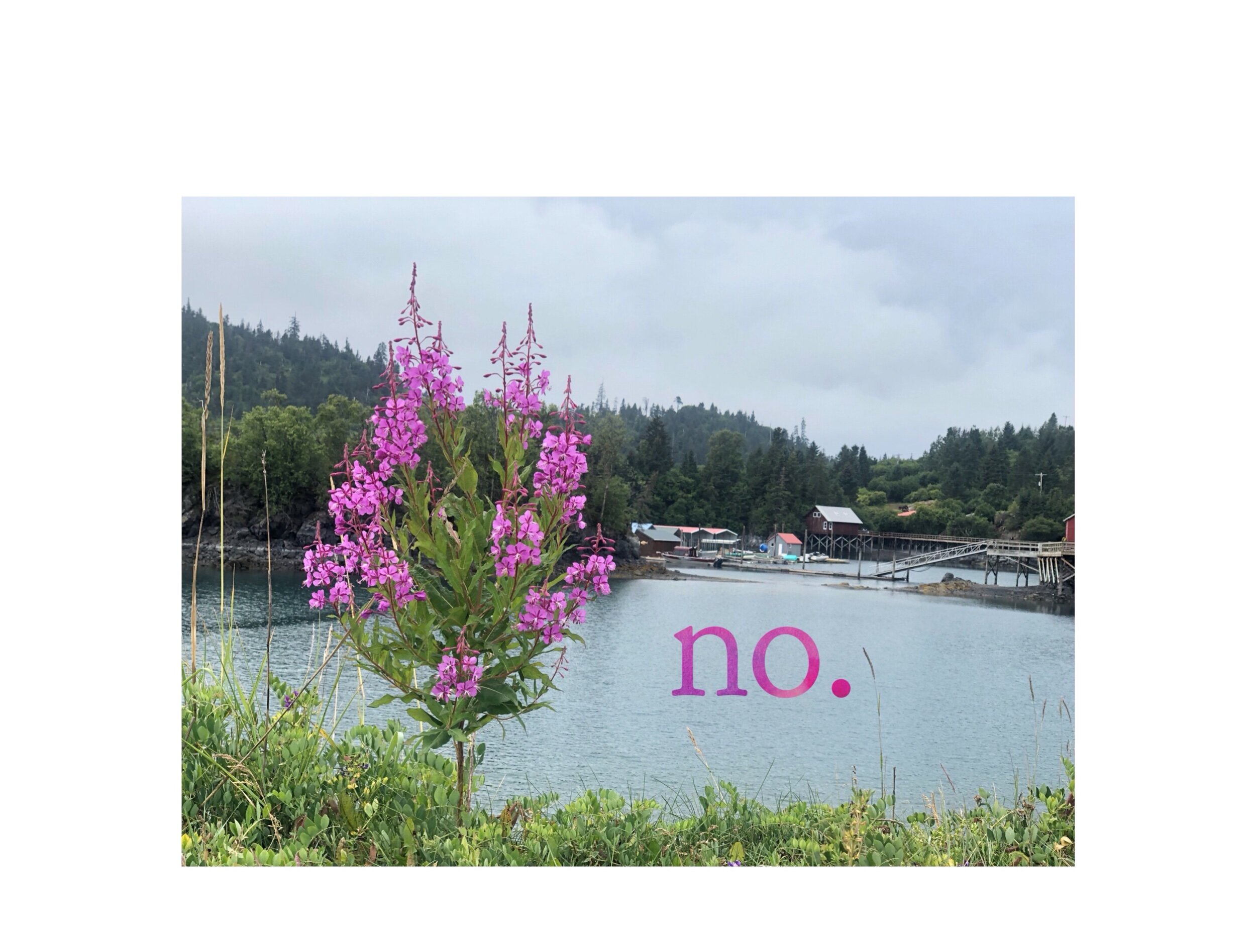 No. I have officially cried every day this week. In fact, I think it’s safe to say that I’ve cried nearly every day during the whole month of July. Exhaustion, fatigue, and frustration at the public has officially gotten to me, and so