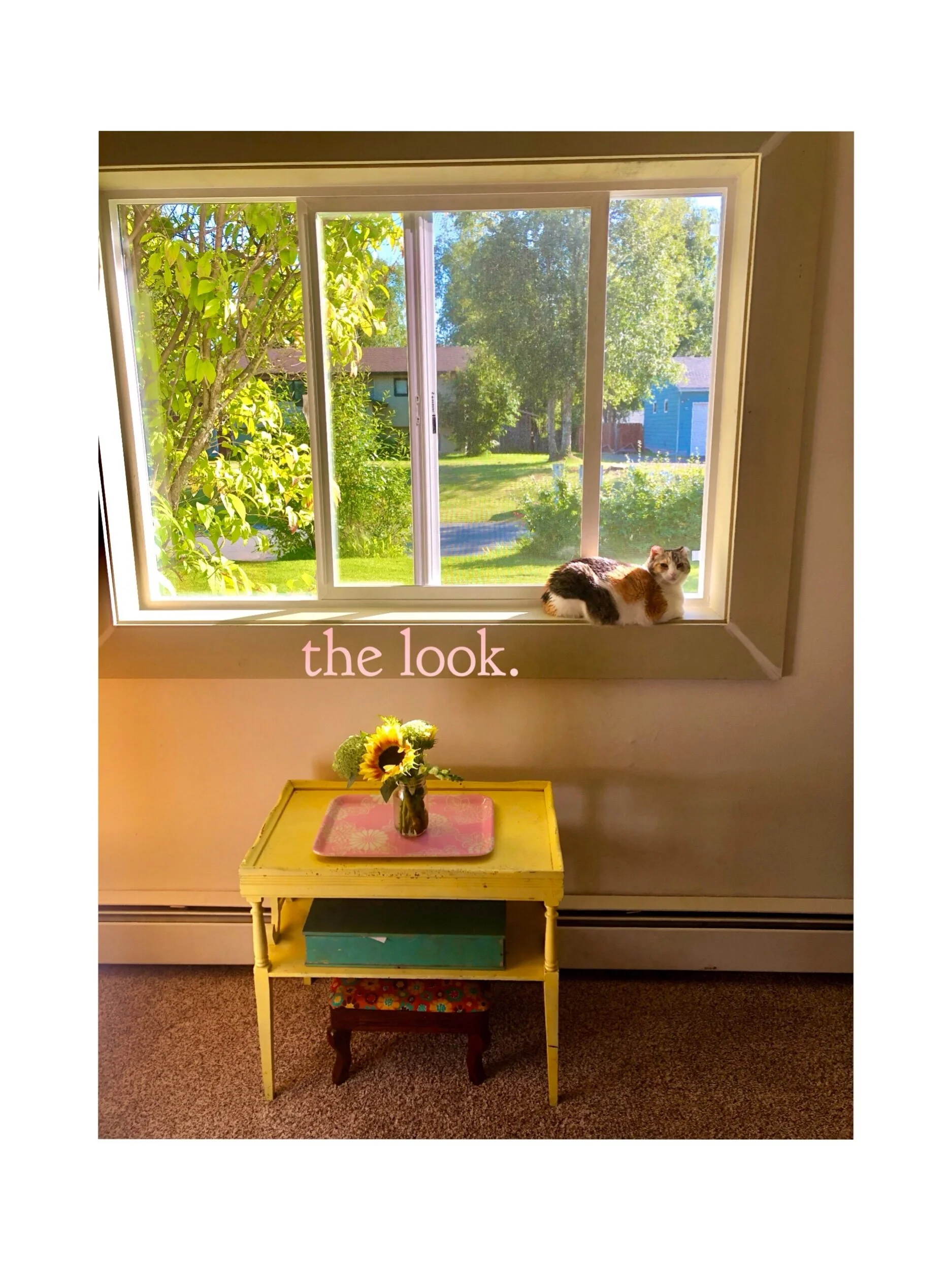 the look. I call it my “waiting for my husband to return home from war” look. Most of those I work with know it well. It’s a stare, seemingly into the abyss. A faraway look that contradicts my physical presence. Like I’m there, but n