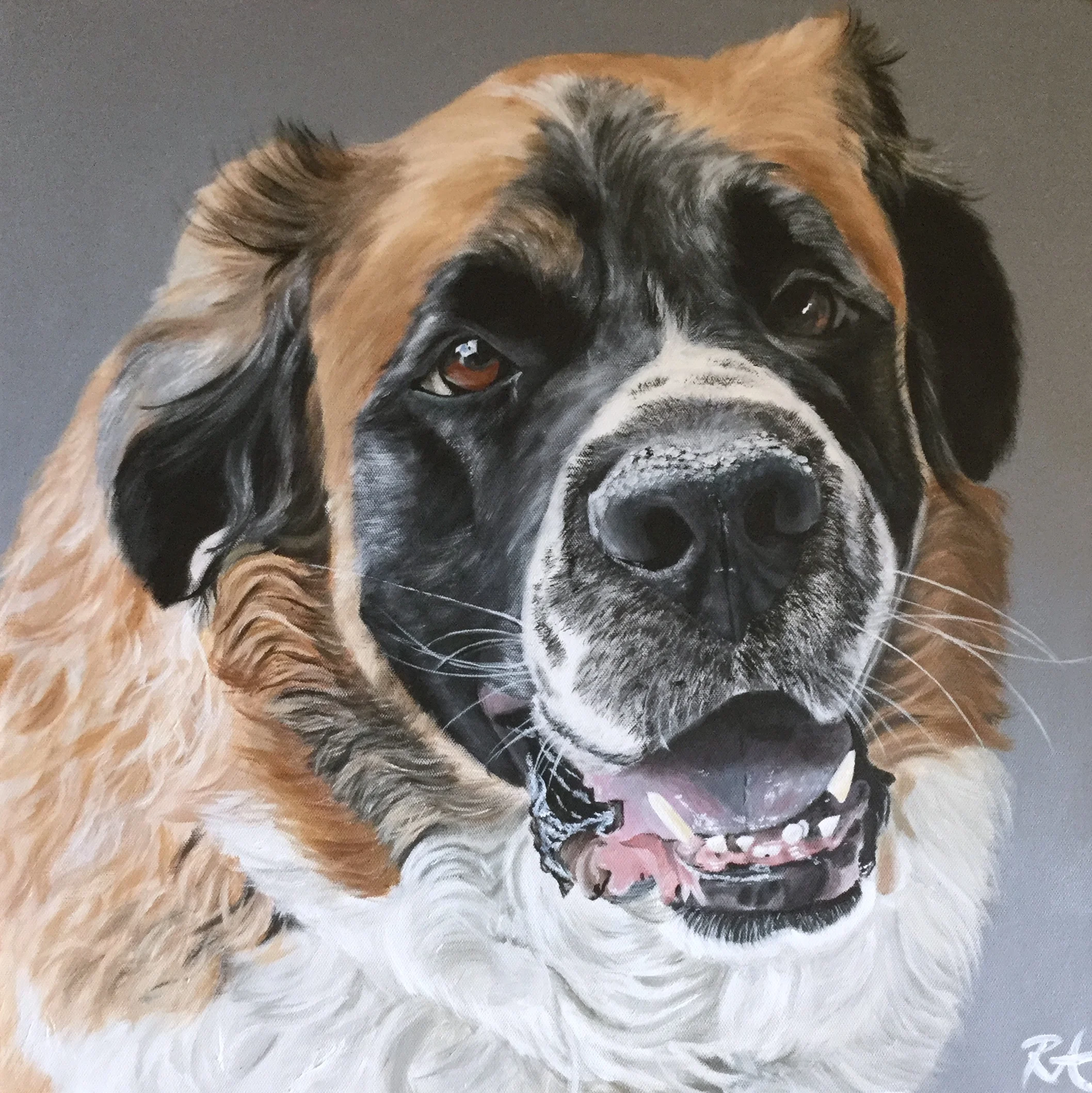 St_Bernard.jpeg