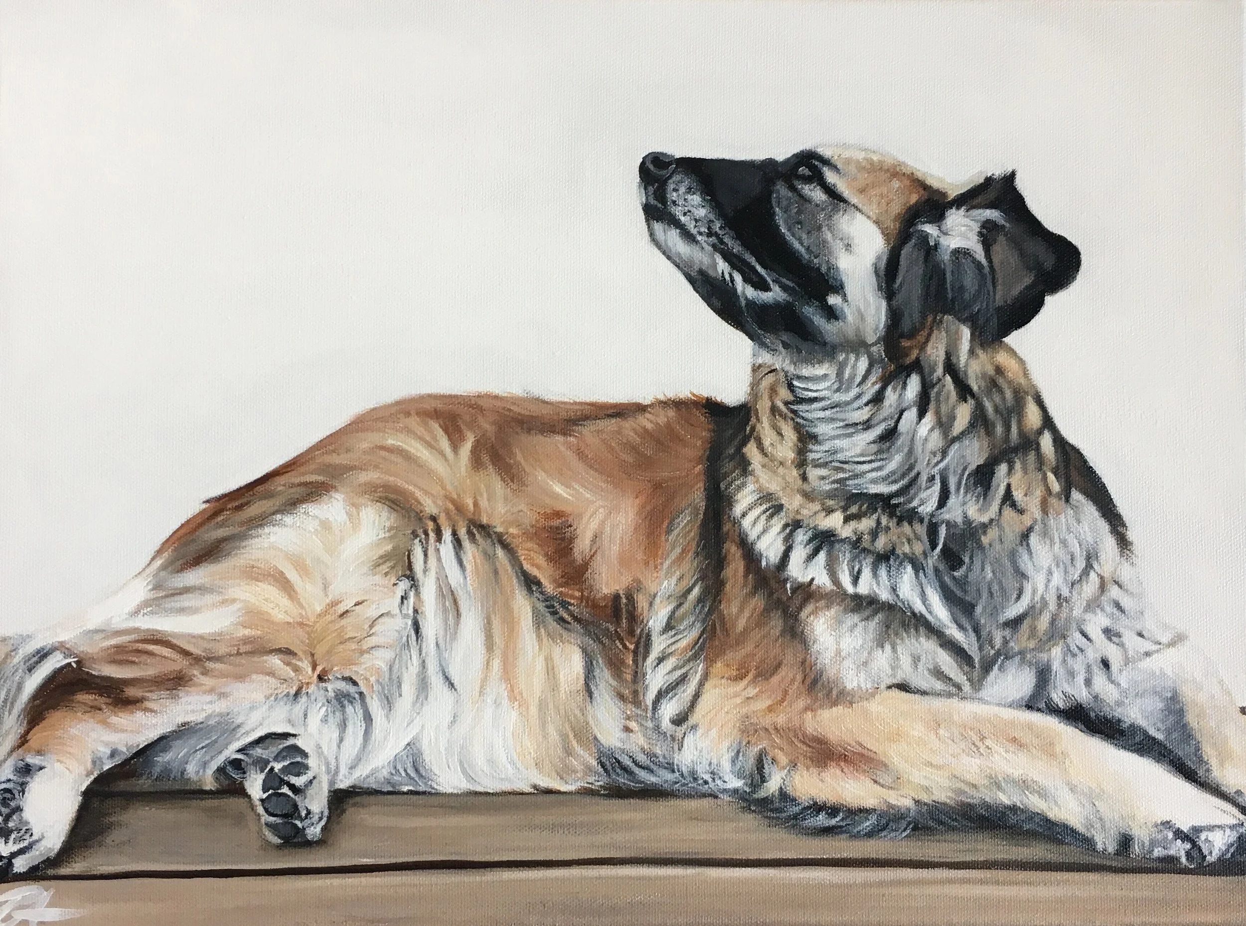 Stella