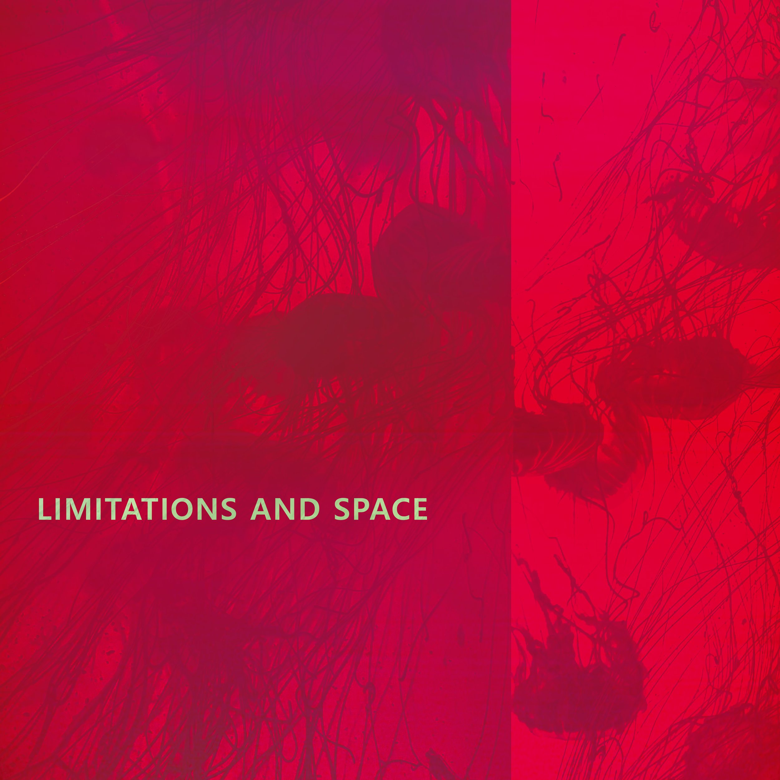 Limitations and Space artwork.jpg