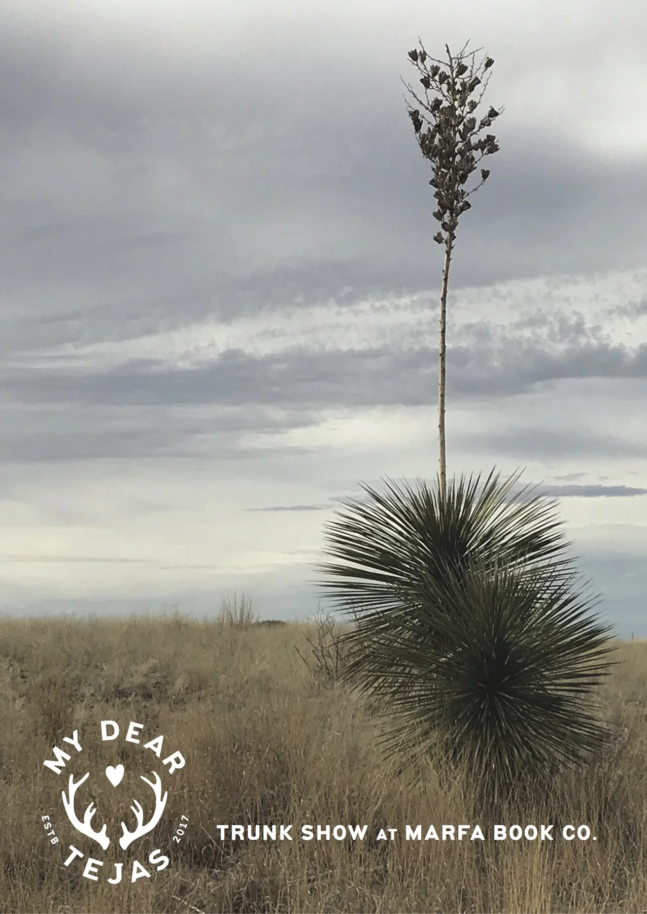 My Dear Tejas at Marfa Book Company. 