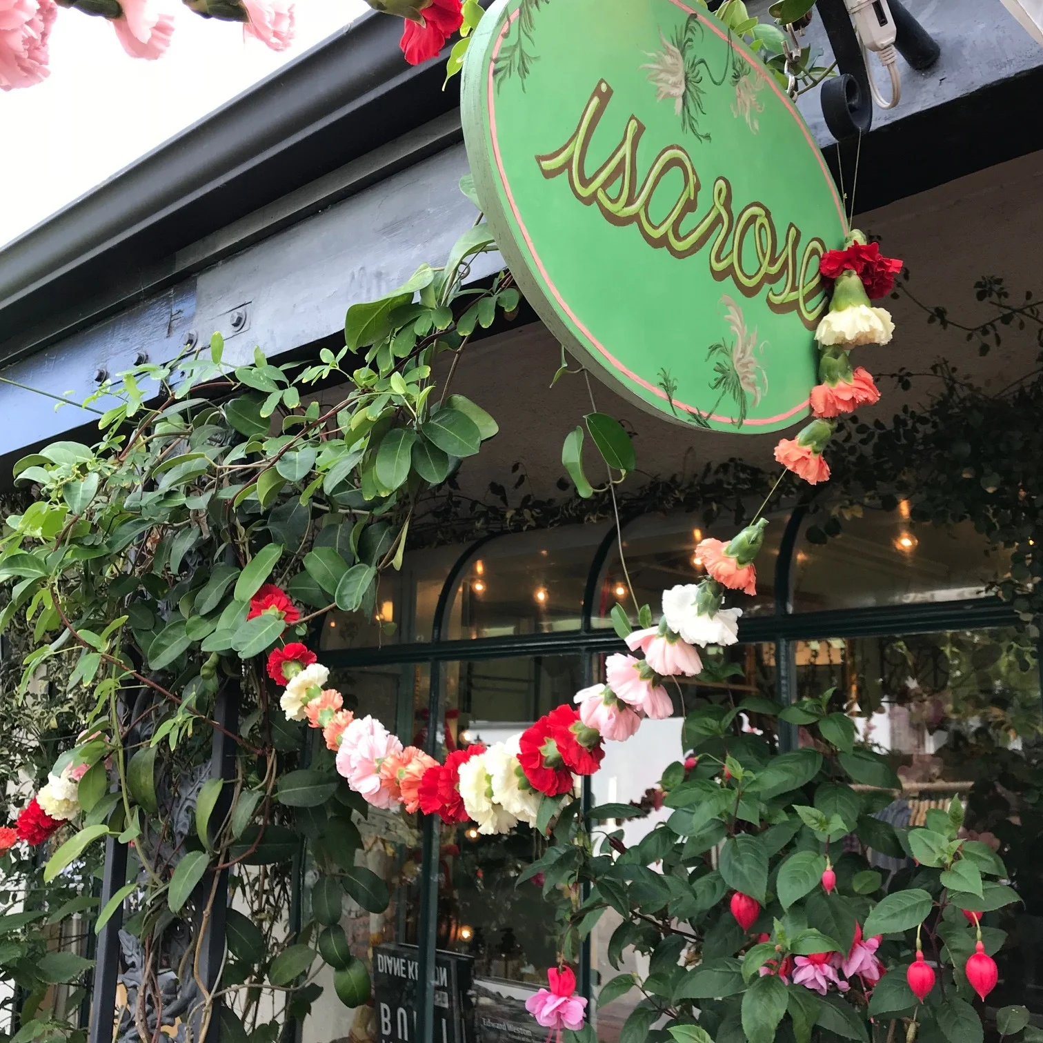 My Dear Tejas Returns to Isarose Flowers in Pacific Palisades, CA!