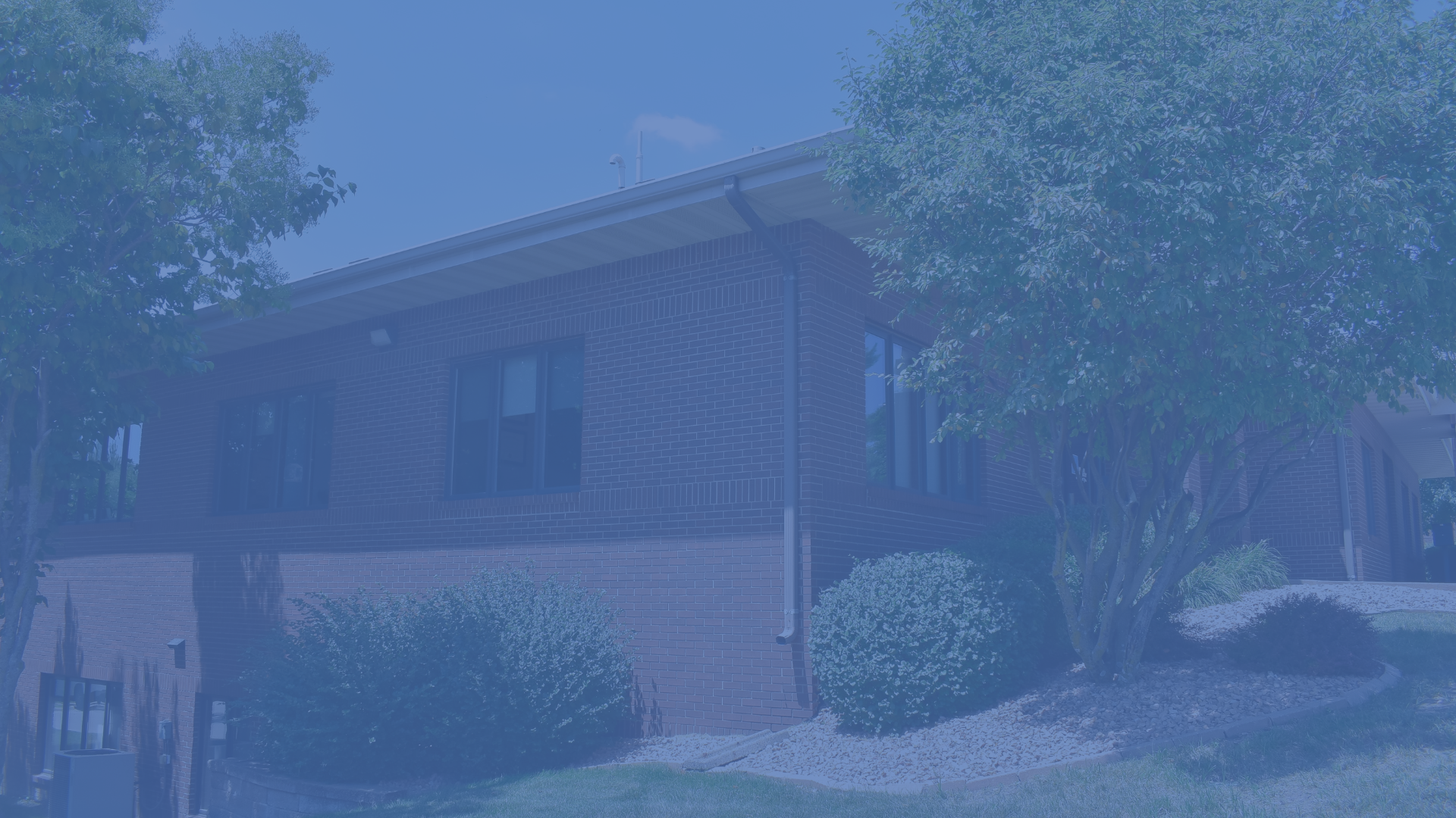 contact page header image.png