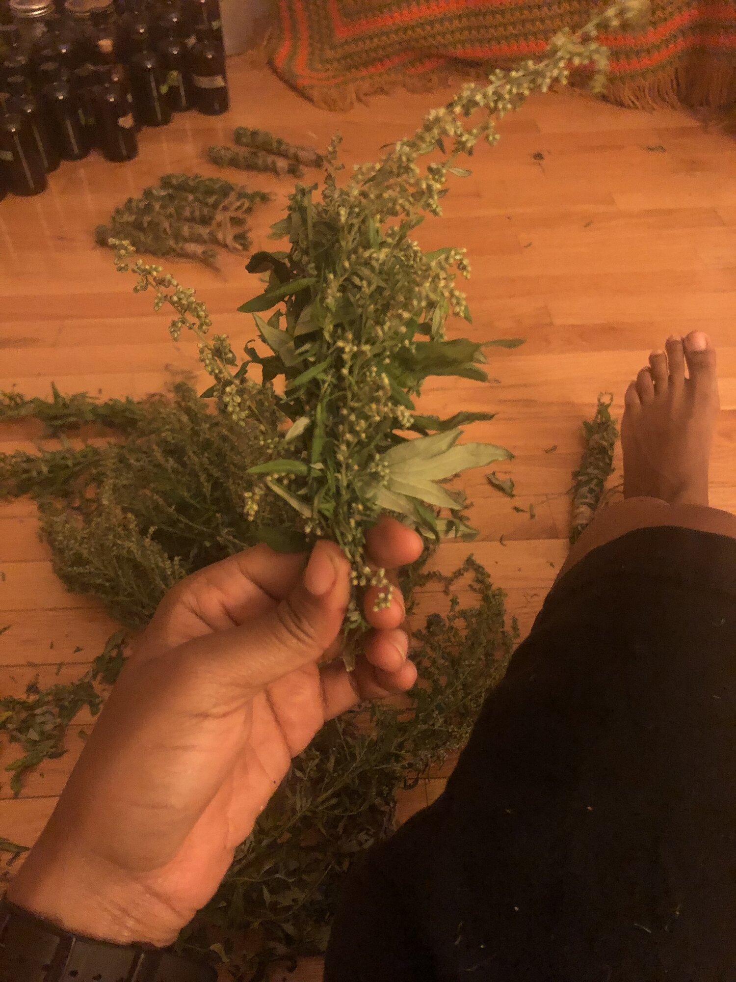 My Friend Mugwort 