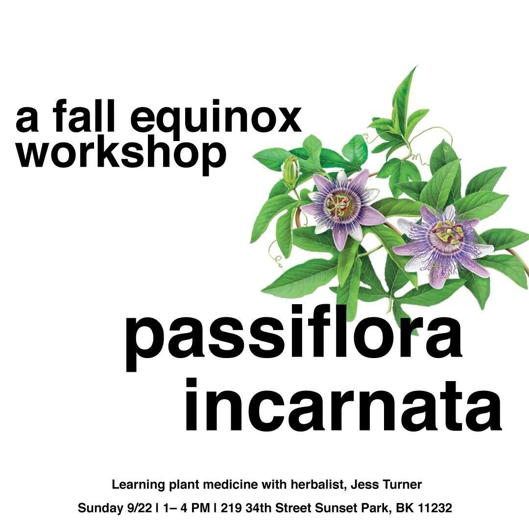 Passiflora Fall Equinox Workshop 2019.09.22