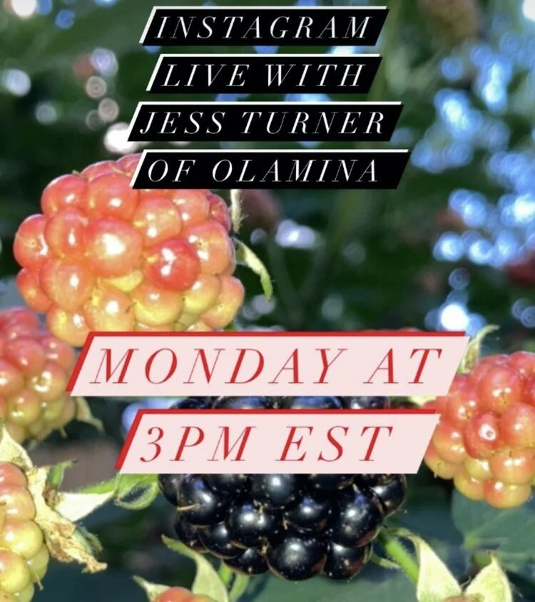 IG Live Monday 9/21–Tune In!