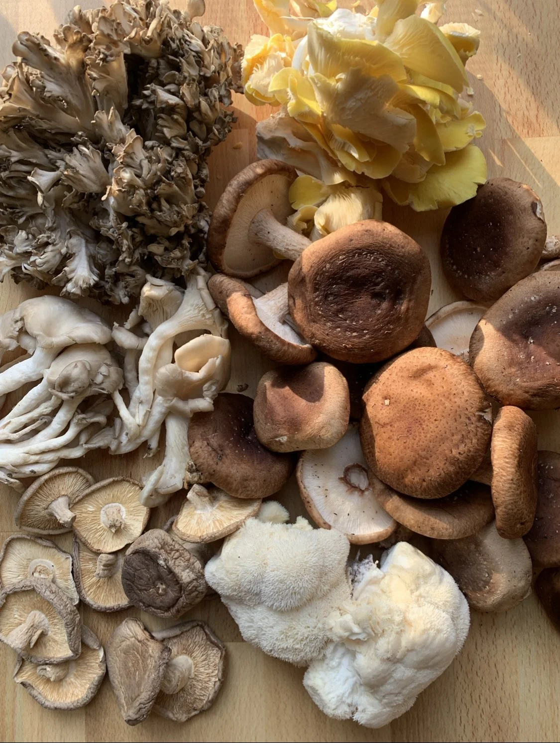 Why I love Medicinal Mushroom Broth ~ and a Recipe 🍄😋🤎