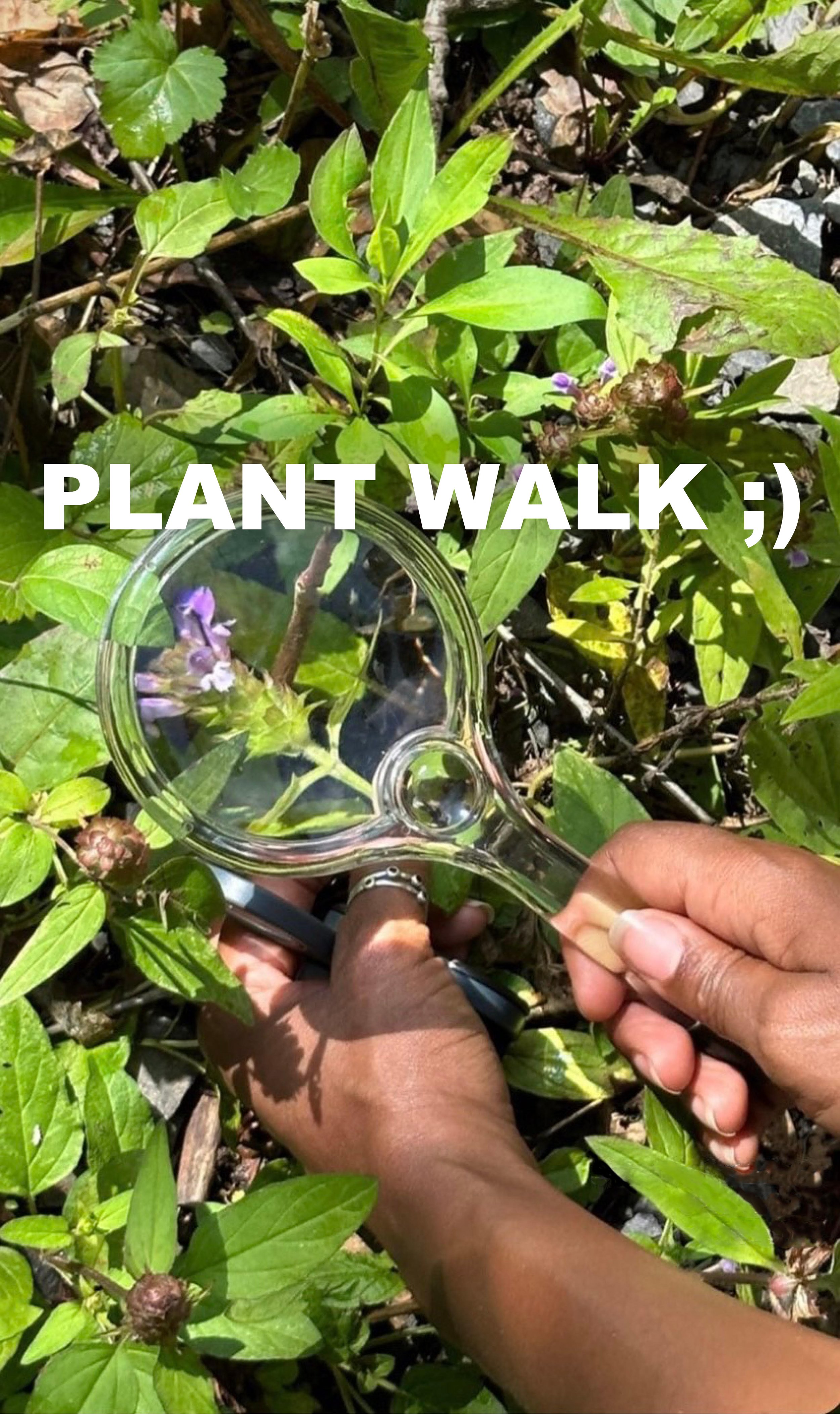Spring Plant Walk in Prospect Park