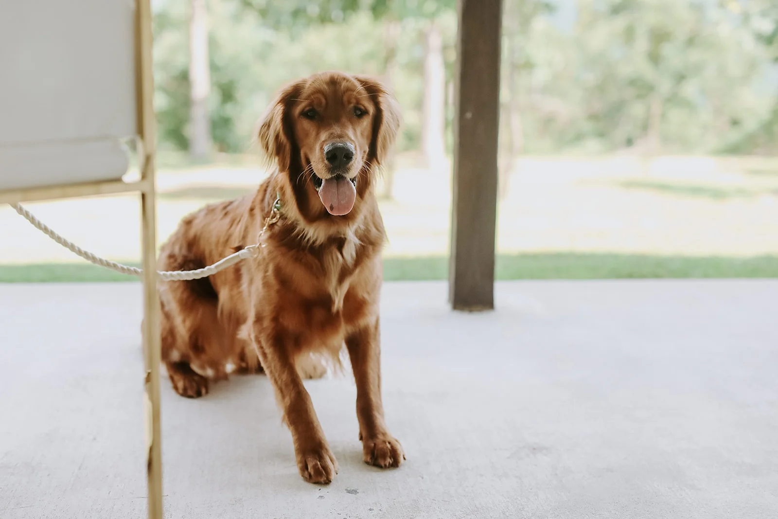 Oklahoma Outdoor Wedding Tulsa White Barn Venue 43.jpg