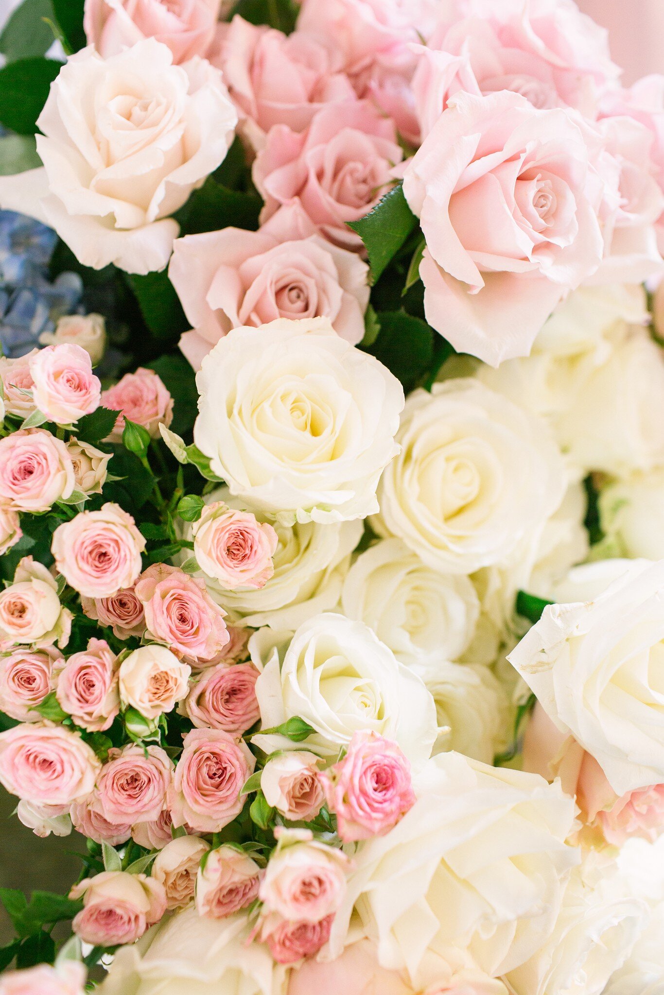 Wright-Wedding-Dream-Point-Ranch-Tulsa-Oklahoma-Wedding-Photographer-Holly-Felts-Photography-73.jpg