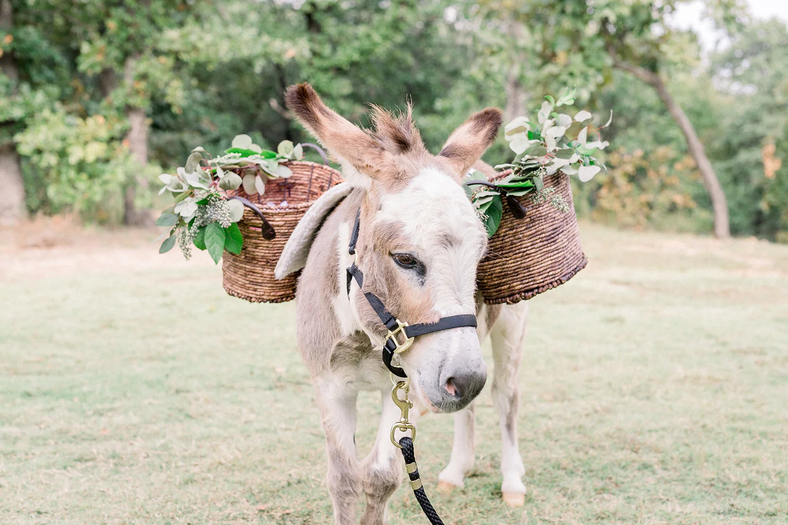 Tulsa Wedding Venue Dream Point Ranch (33).jpg