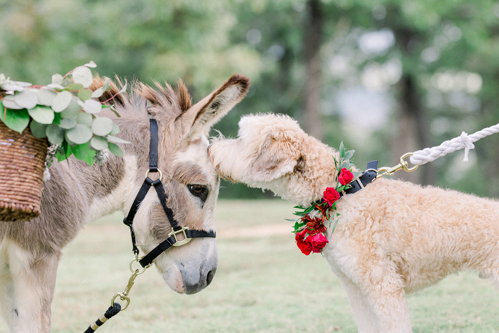 Tulsa Wedding Venue Dream Point Ranch (35).jpg