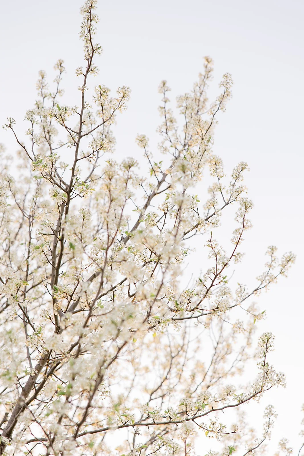 Best Tulsa Oklahoma Wedding Venues Bixby Jenks Broken Arrow (166).jpg