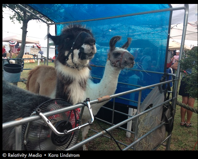 Screen Shot 2017-06-12 at 3.58.51 PM.png