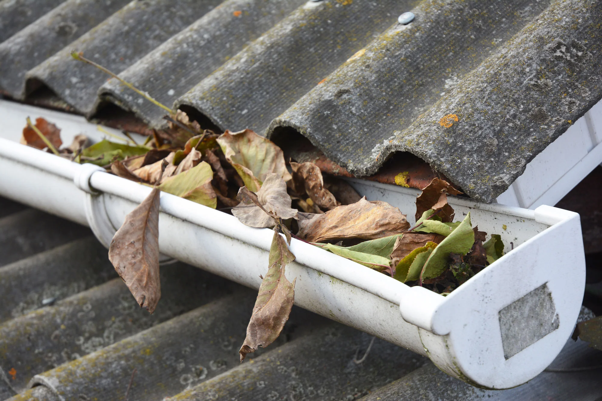 Fall Roof Maintenance
