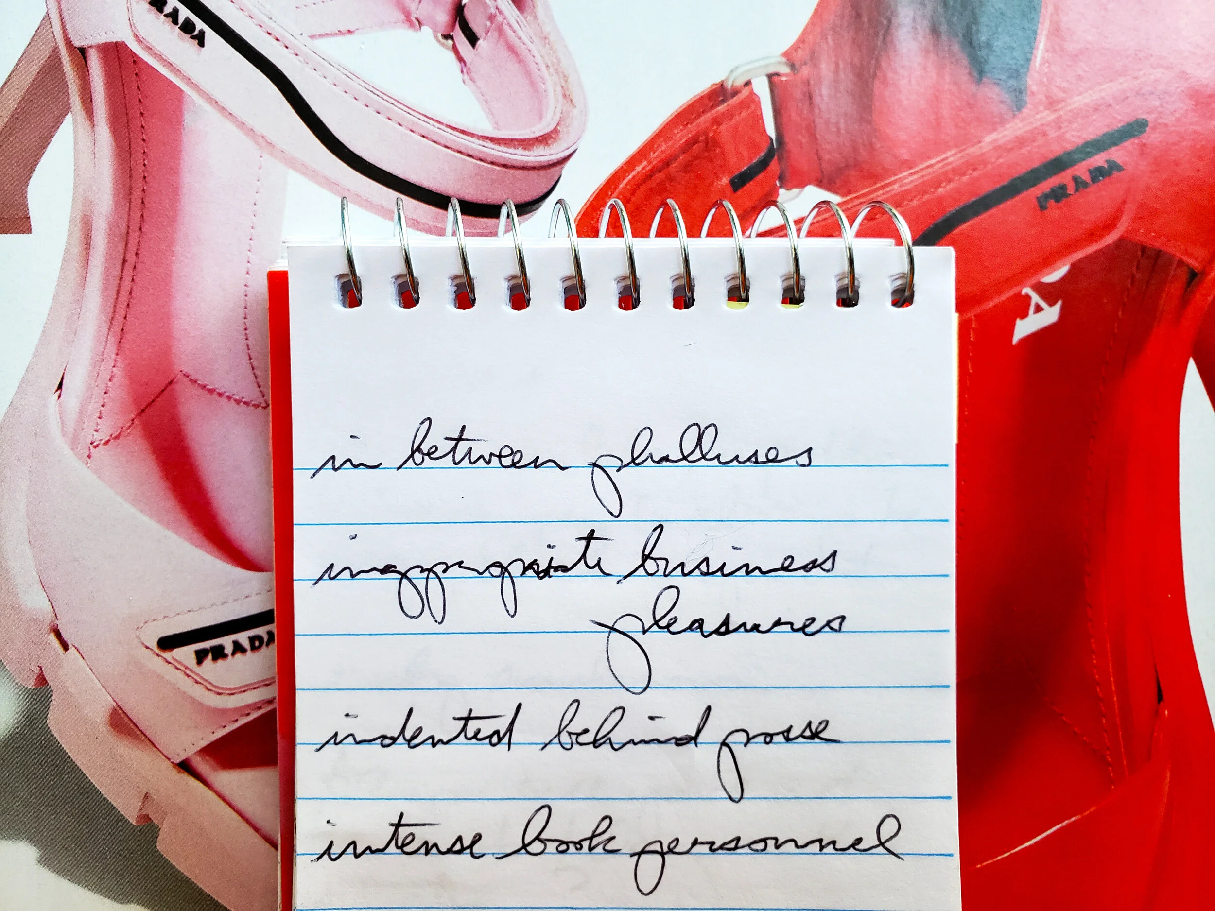 "in between phalluses"