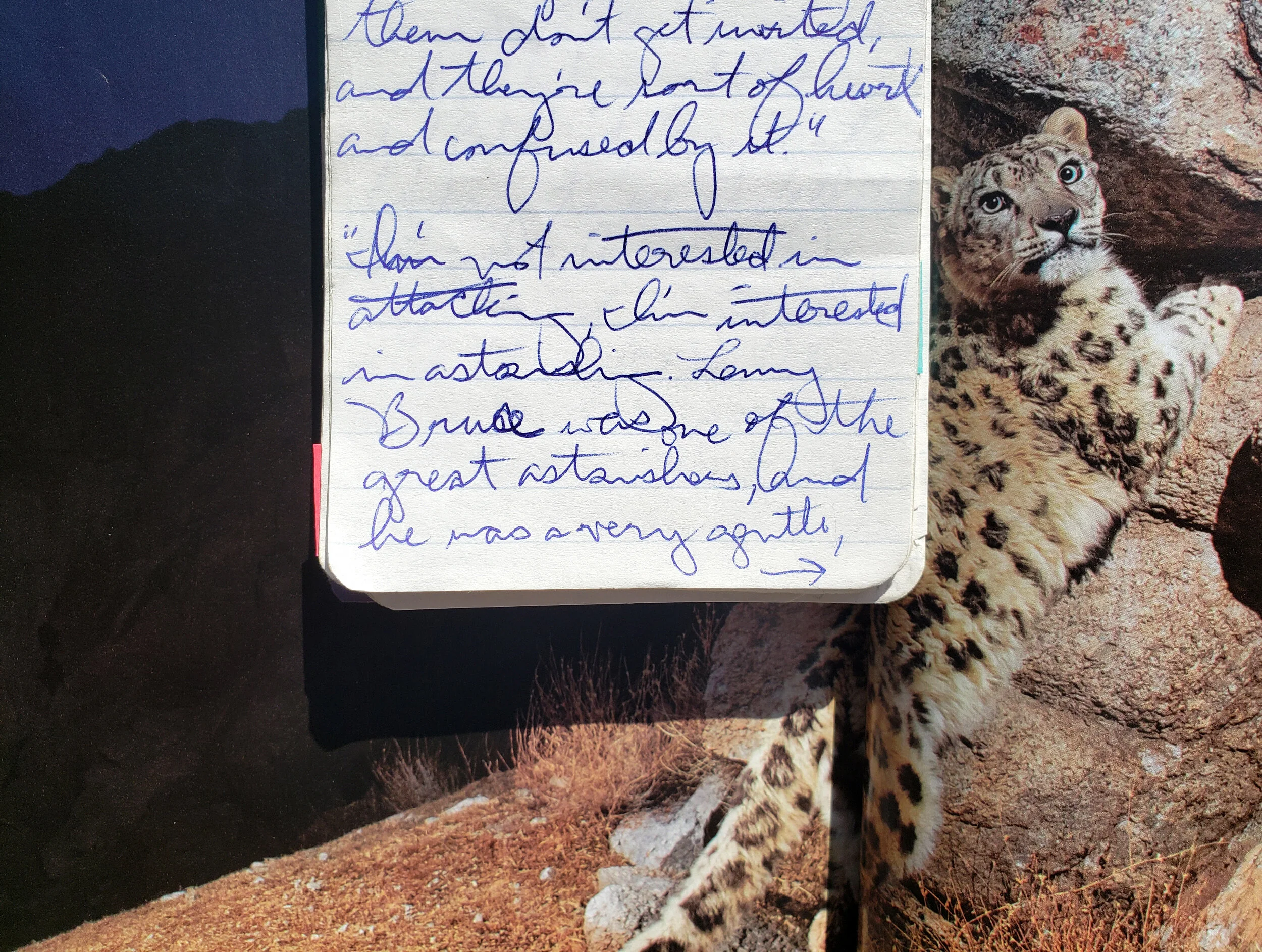 "I'm not interested in attacking, I'm interested in astonishing."