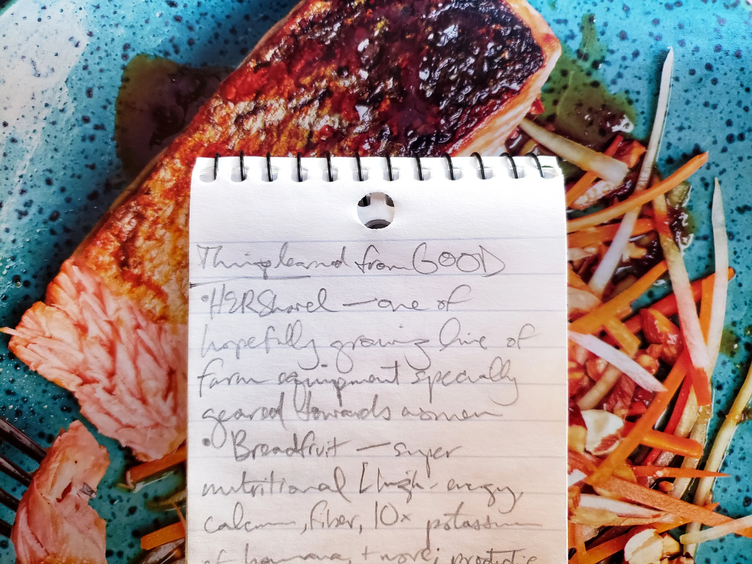 "Things learned from GOOD"