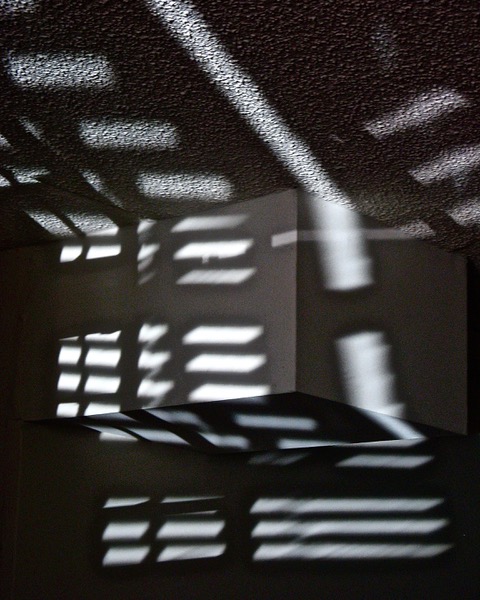 IMG_6462.jpeg