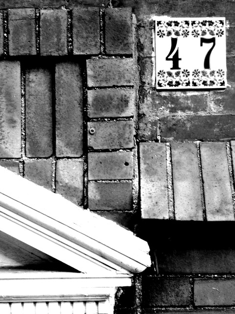 DSC02045.jpeg
