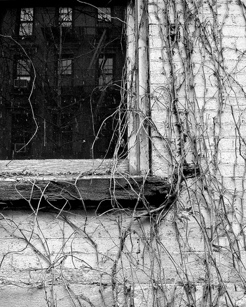 DSC02715.jpeg