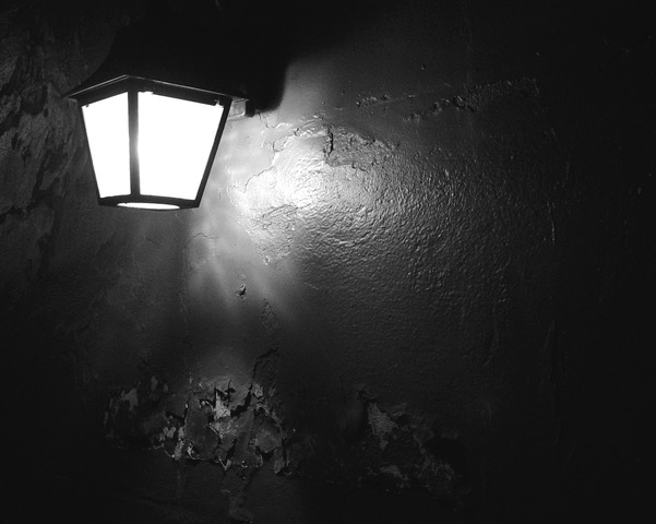 DSC07860.jpeg