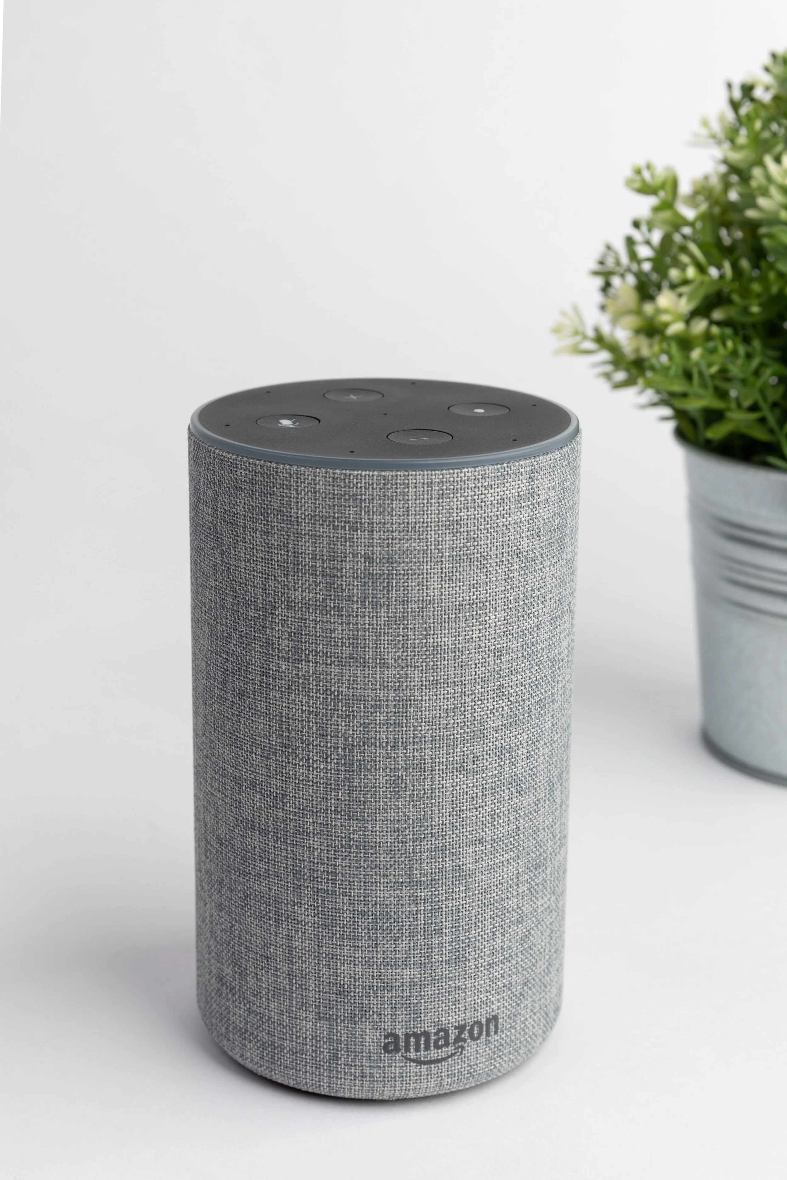 amazon-echo-grey-plant.jpg