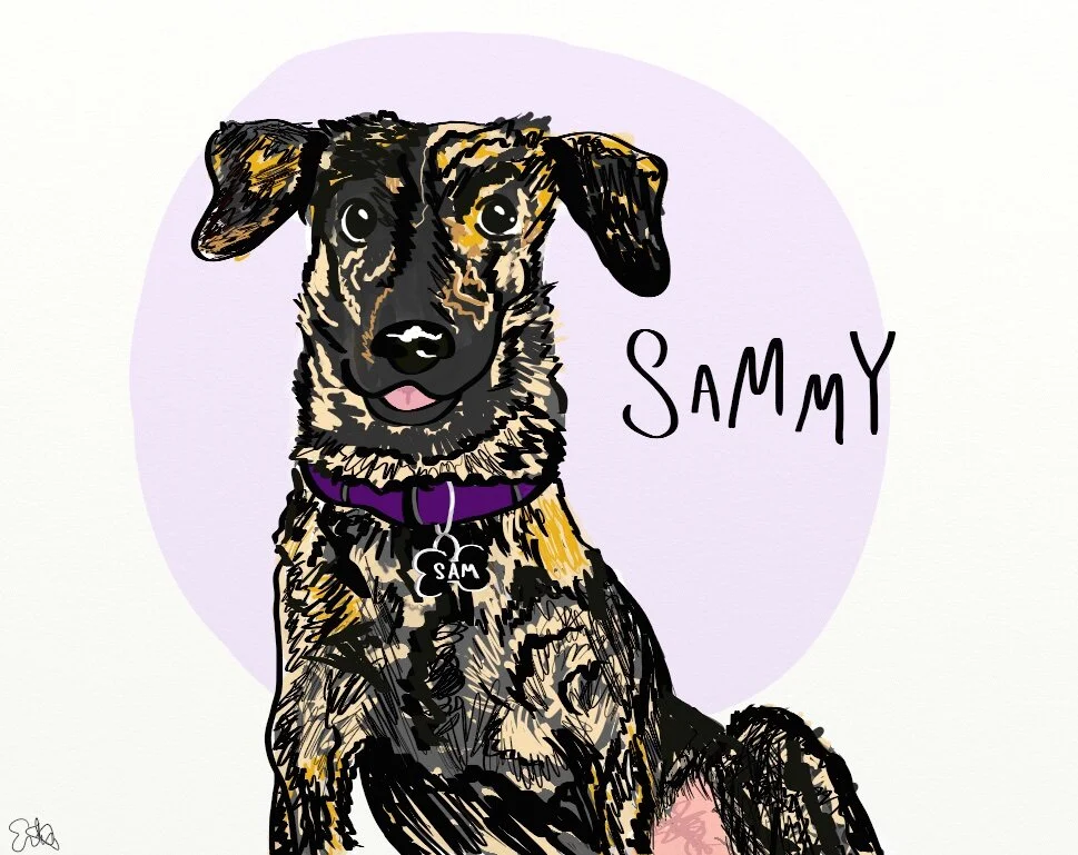 sammy jpeg 2.jpeg