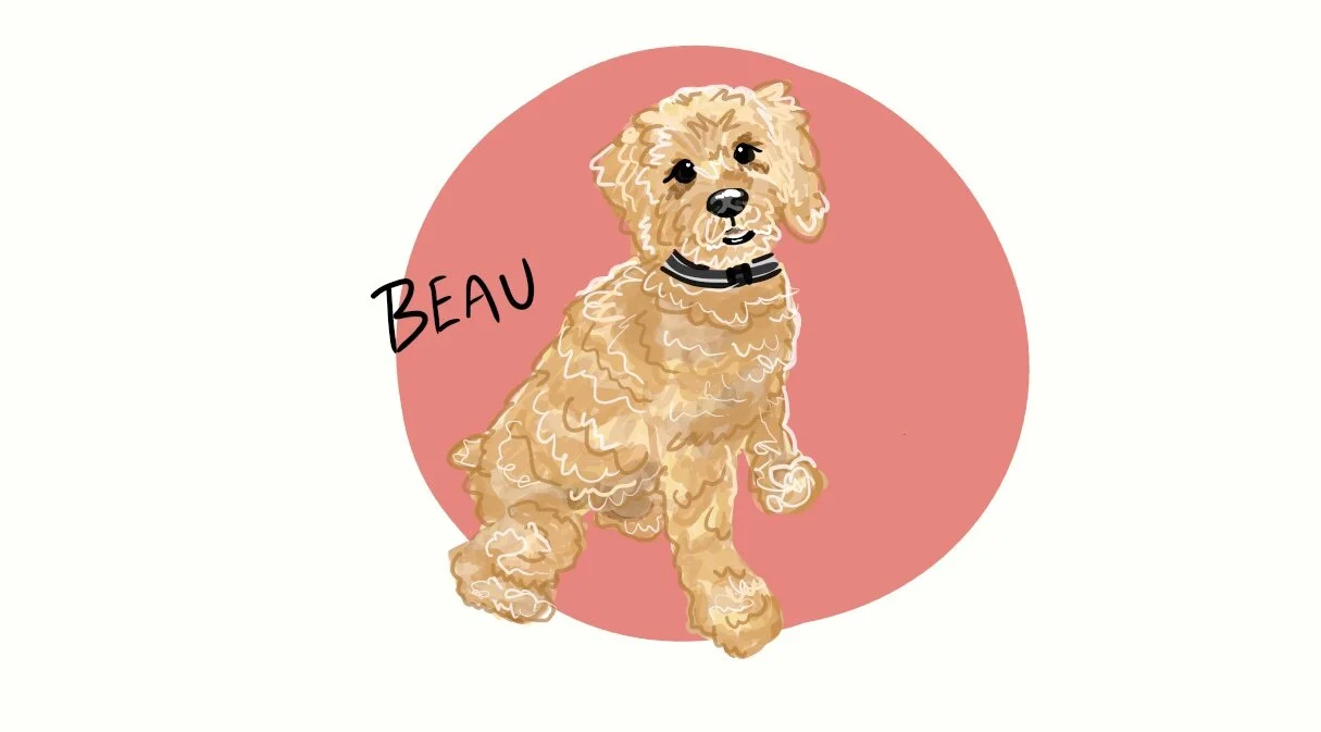 beau .jpeg