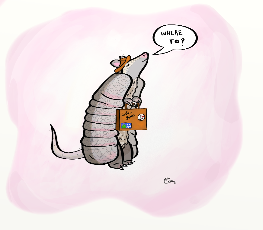 armadillo traveller.png