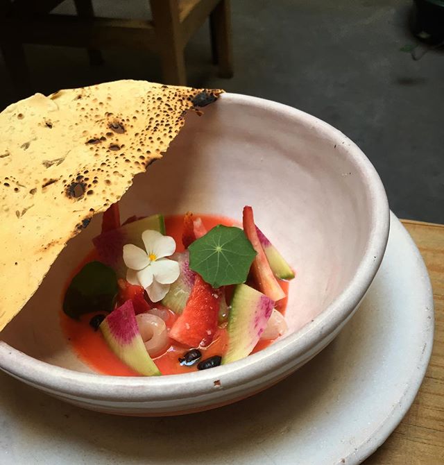 Lo bonito de que la fresa en Mexico no se tan dulce es que la podemos usar de formas creativas. Esta semana salen en el aguachile! #masalaymaiz