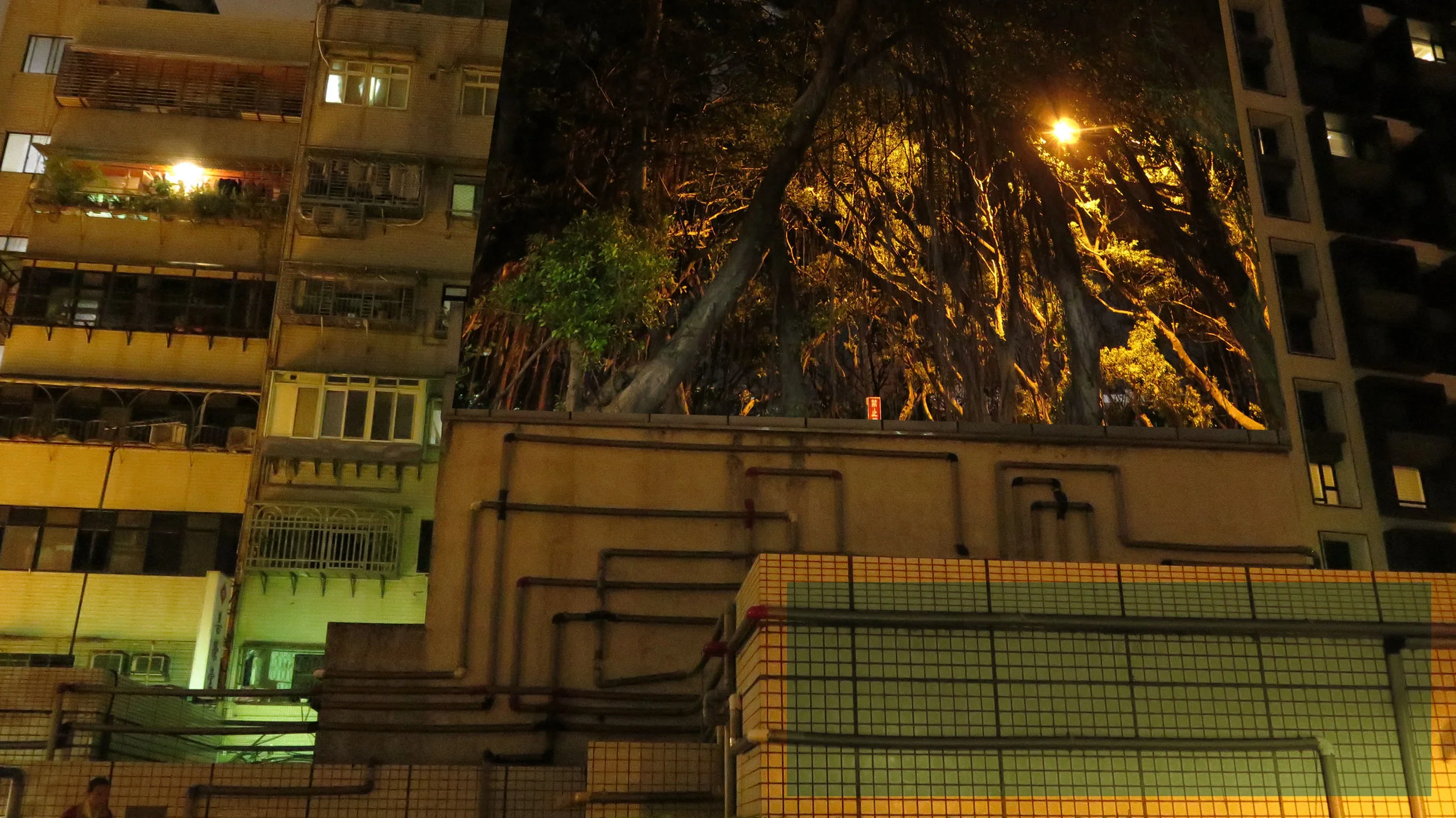 nightwalk_comp copy.v2.jpg