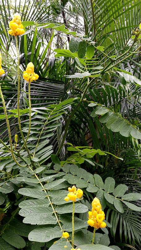 Taipei, Taiwan