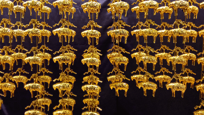 DSC_0053-ANIMATION.gif