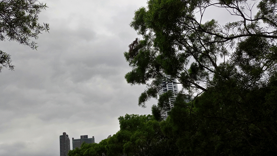 DSC_0030_1-ANIMATION.gif