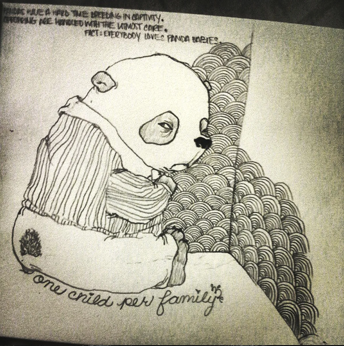 Screen Shot 2017-02-22 at 12.35.41 PM.png