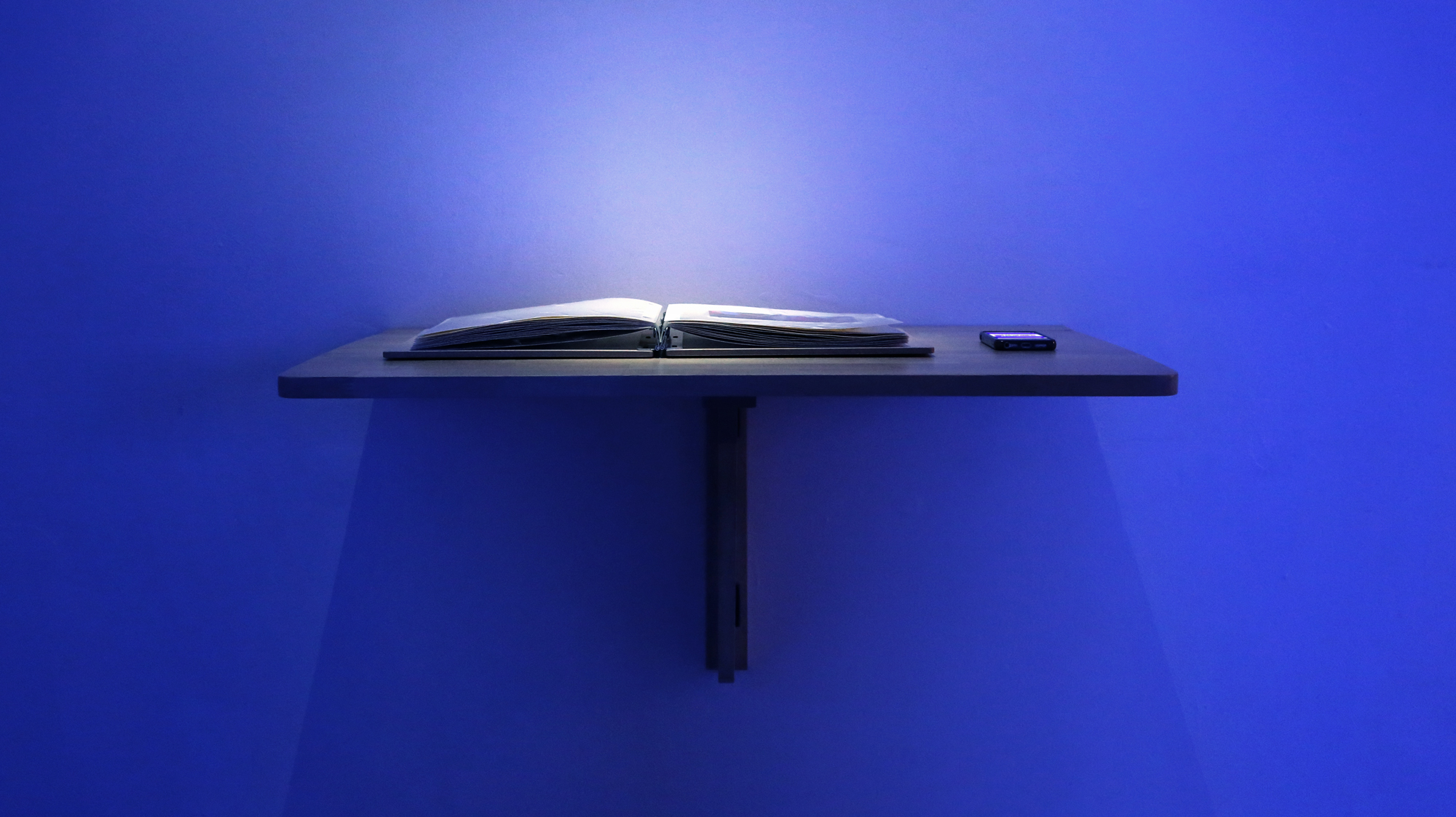 A Refusal, 2015-2016 Year-long performance, photo album, photos, smartphone