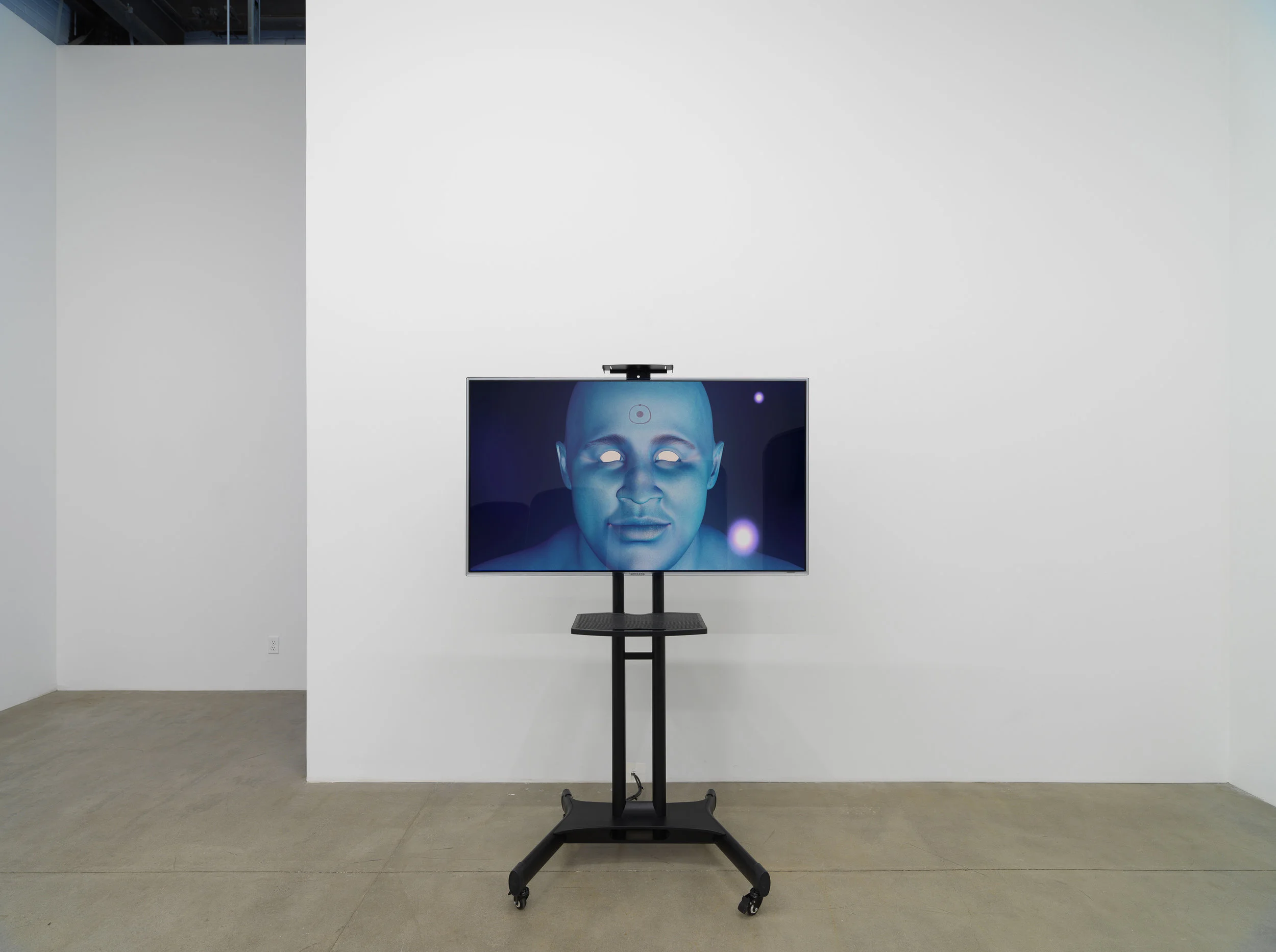 I’m Blue (If I Was █████ I Would Die) (installation view, Koenig & Clinton, Brooklyn), 2019