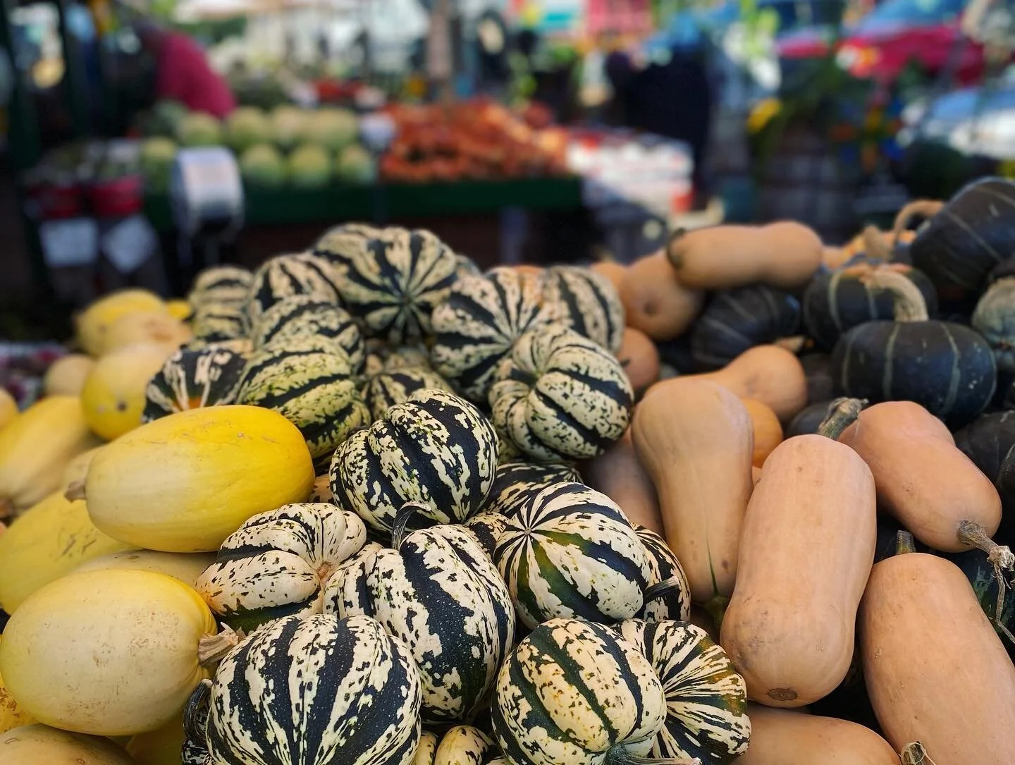 The night before September and the fall feels are in the air! After an amazing Garden Show on the Island, it&rsquo;s now back to some big projects in the Traverse City and Charlevoix areas~.. and on the way down, there is nothing like the smells, sig