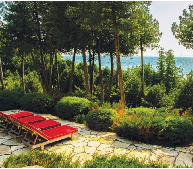 West Shoreline Insert.png