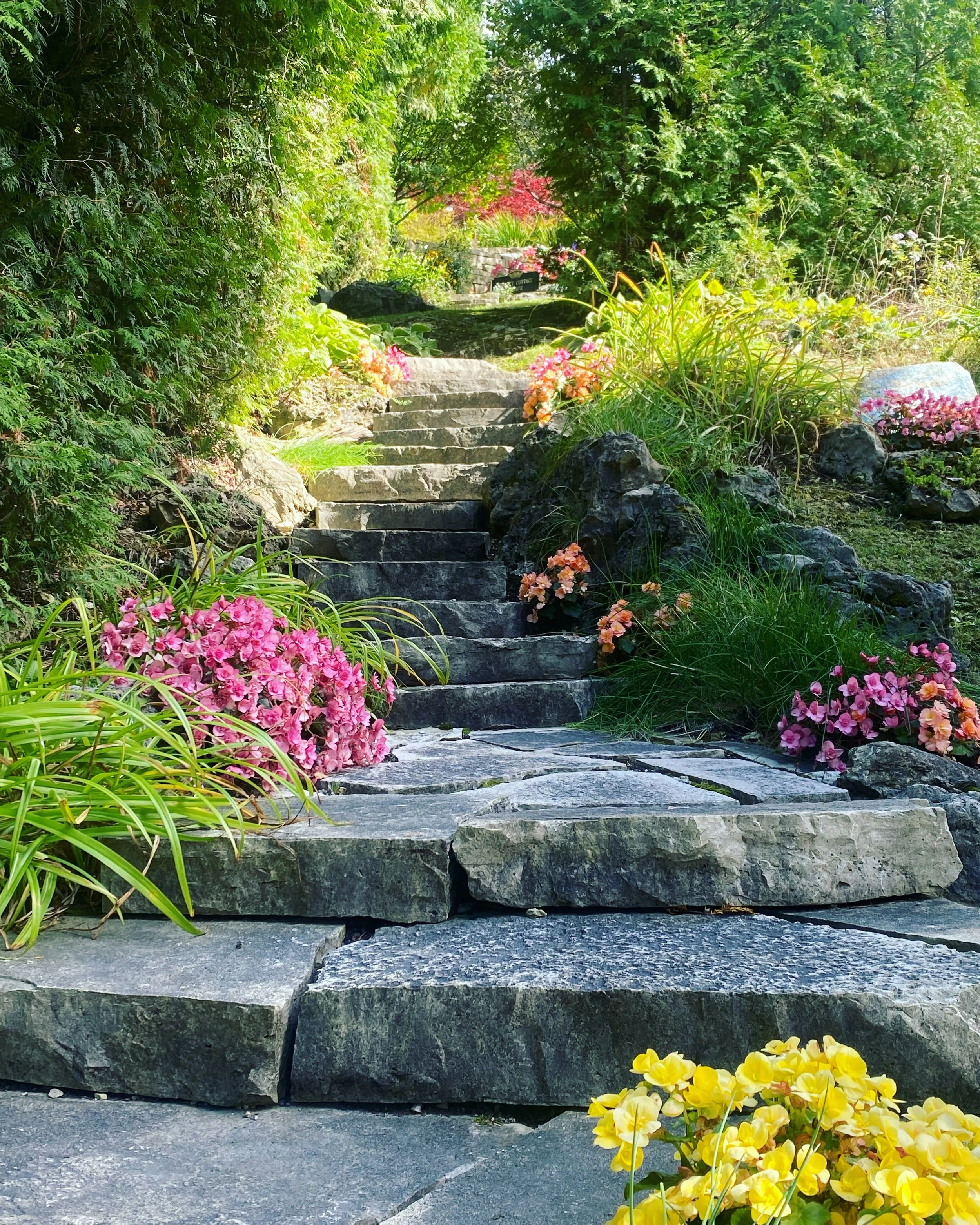 Stone steps leading up a garden path surrounded by lush green foliage and colorful flowers, including pink and yellow blooms.