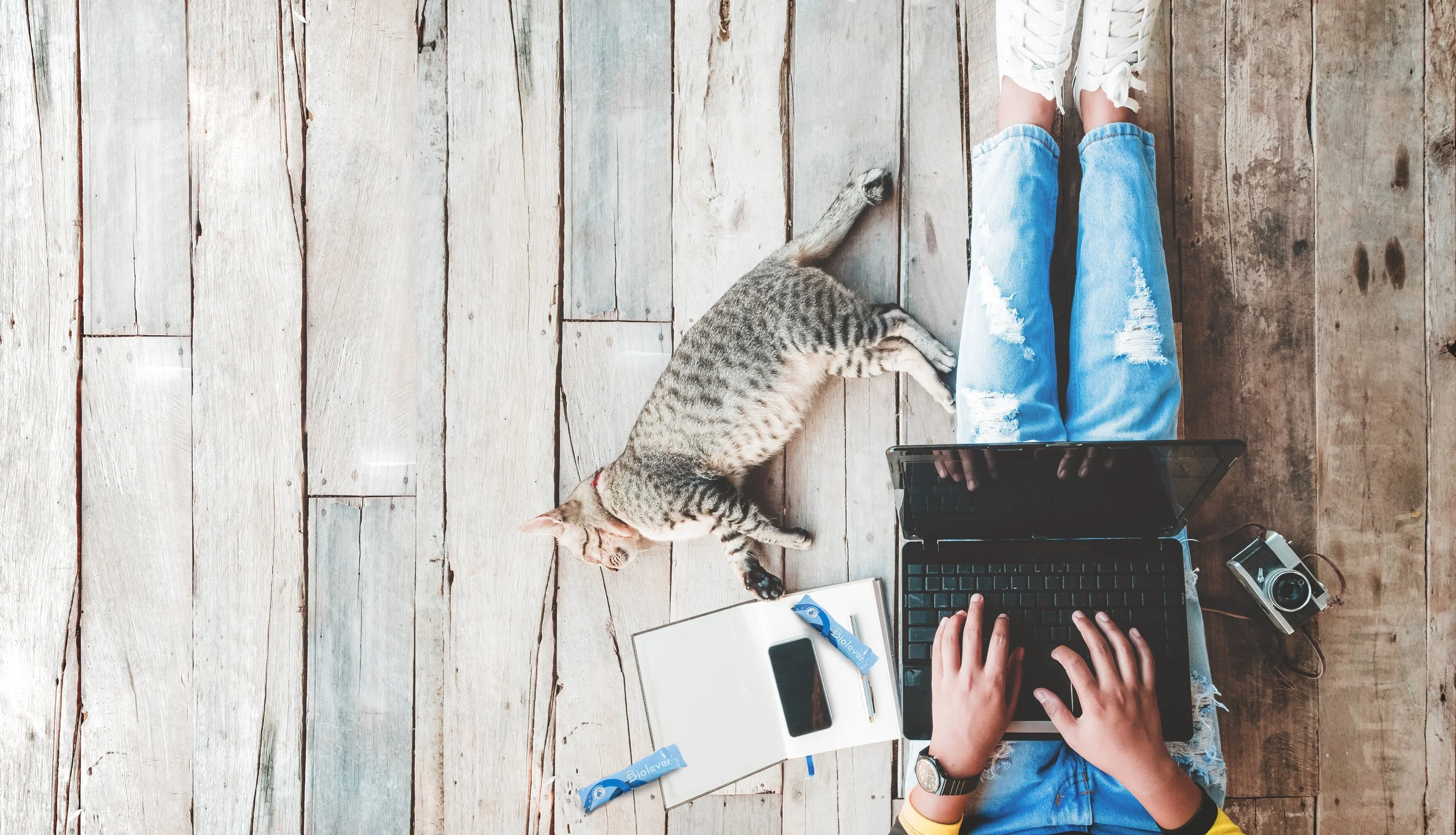 Biolever+mood+probiotics+with+woman+using+laptop+with+cat.jpg