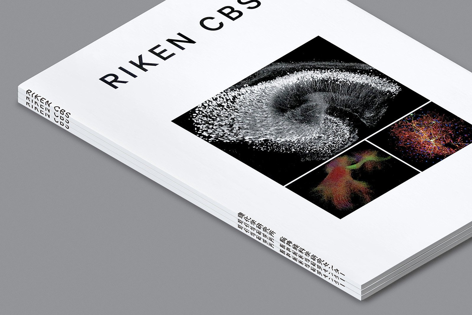 RIKEN-CBS-2.jpg